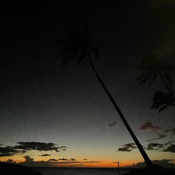 🌞🌺✨……….. - Picture 15 of 16